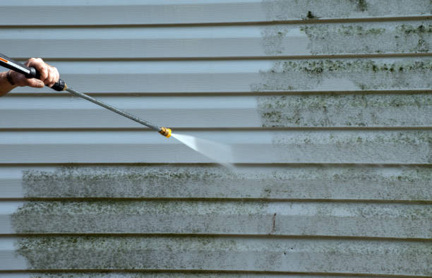 Best Roof Power Washing Services  in Calumet City, IL