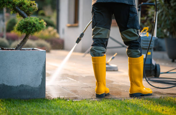 Best Best Pressure Washing Companies  in Calumet City, IL